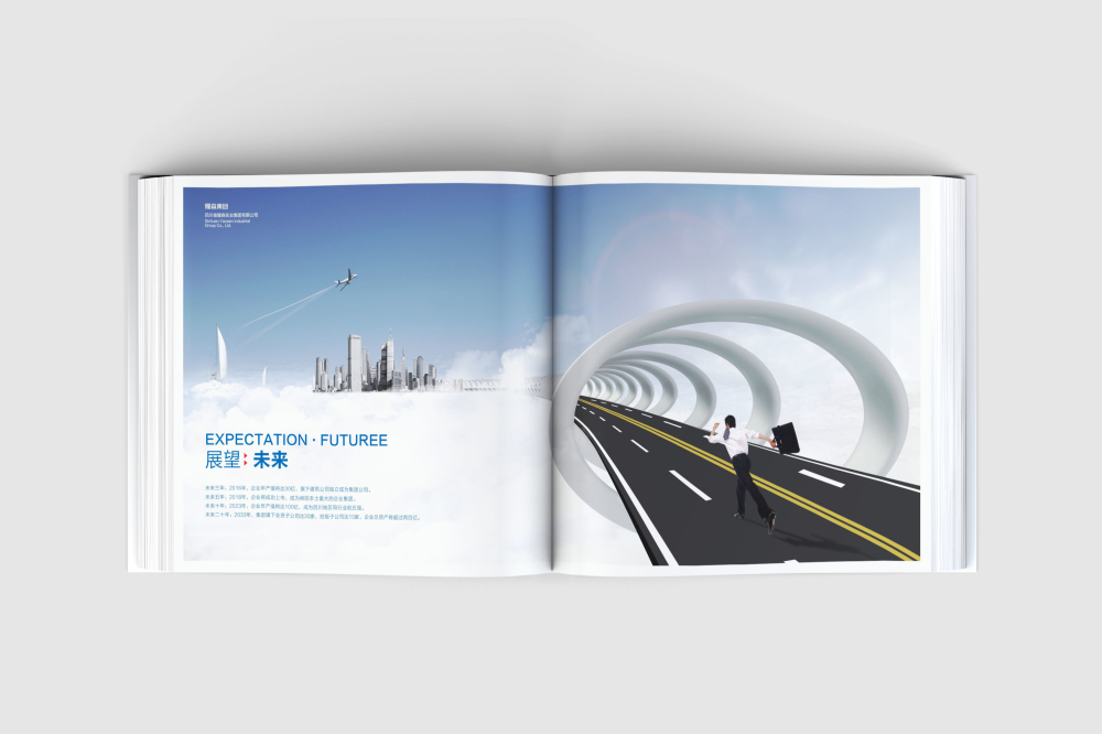 饶河县画册设计